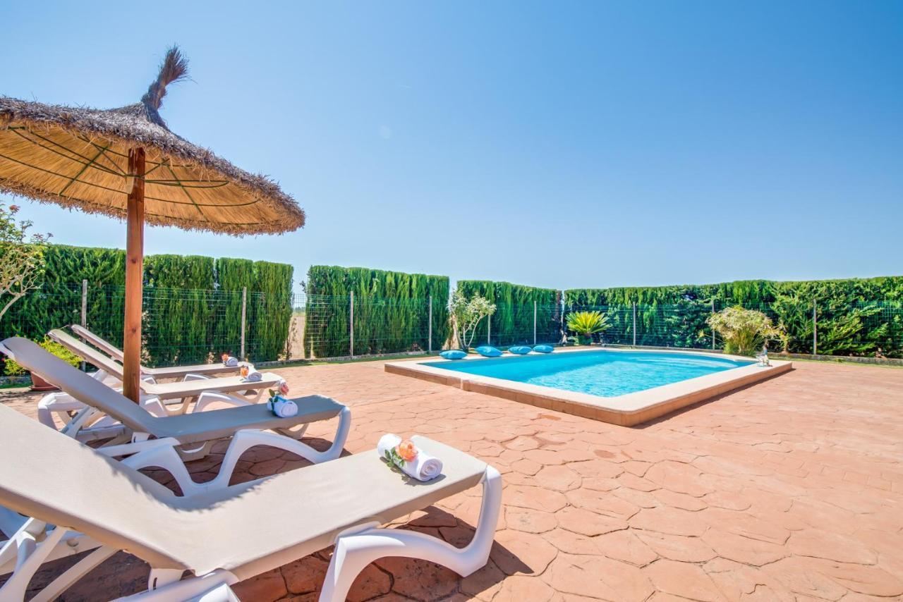 Ideal Mallorca - Grau Petit * Sencelles